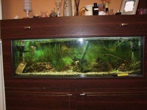 I will sell an aquarium of 195 liters