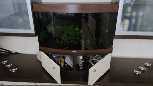 Aquarium Juwel Vision 180 + CO2set and absolutely everything