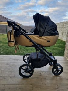 Black and Gold Stroller 2 in 1