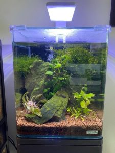 Dennerle nano aquarium + cabinet