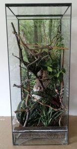 Used terrarium 50x50x120