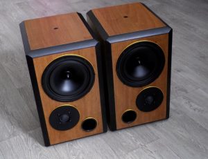 DIY Speakers....Seas,sony