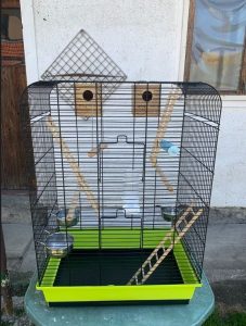 Cage with accessories
