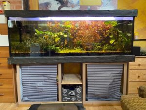 I will sell an aquarium of approx. 500 L, also with accessories