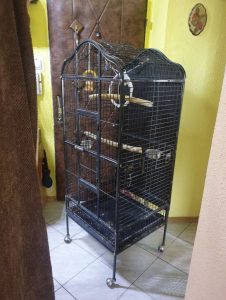 I will sell a cage for 100 euros