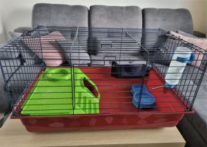 Guinea pig / rabbit cage.