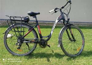 Electric bike