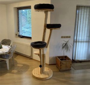 Scratching post - cat tree