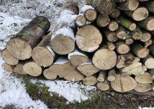 I will sell dry firewood oak beech ash hornbeam