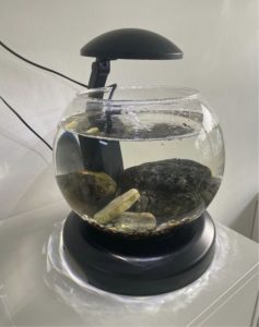 Round aquarium including accessories