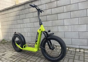 Electric scooter 500W, possibility of installments.