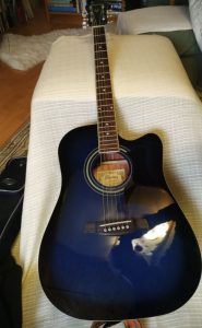 Ibanez guitar