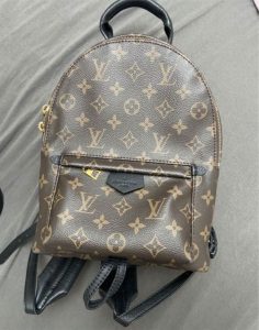 Palm Springs PM Louis Vuitton Backpack