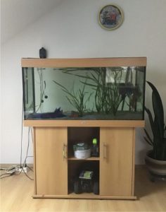 Sale of aquariums