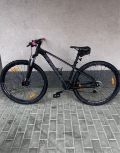 Trek mountain bike