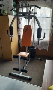 Strength machine (tower) Laubr Sport