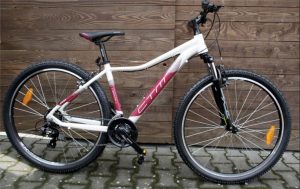 Women's mountain bike CTM Charisma wheels 29