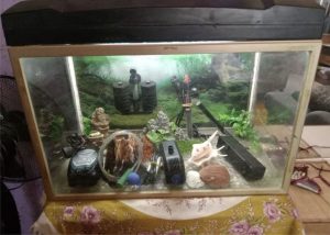 I am selling a 50L aquarium