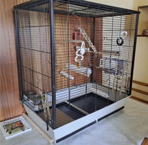 Cage for medium-sized parrots FIONA + crate