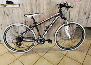 Ferrina mountain bike