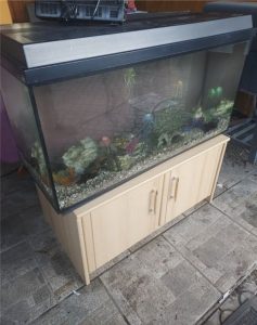 Aquarium