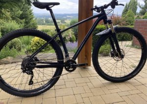 Mountain bike Specialized Rockhopper Expert 29