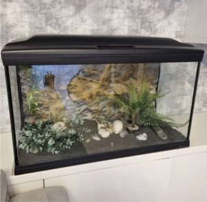 Cayman 120L aquarium, external filter, pump, all accessories are complete