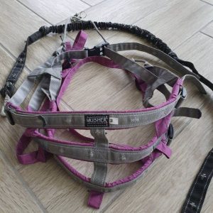 New adjustable musher belt for (seated) running, HDR