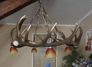 Unique Gim chandelier
