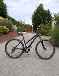 Trek Skye mountain bike for sale