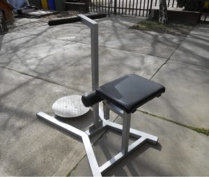 Standing spinning Twister gym fitness machine!